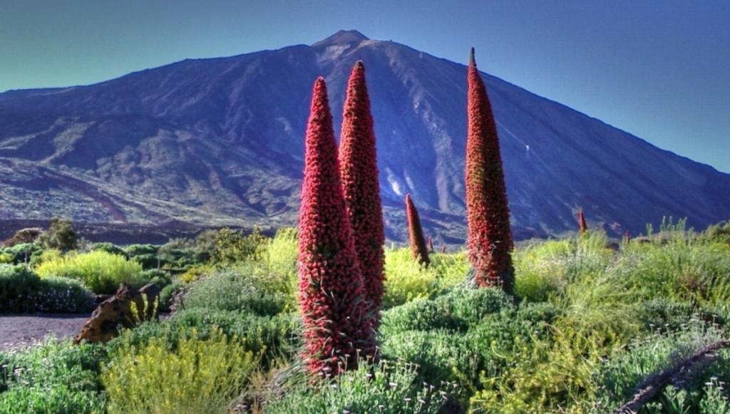 Marody Tenerife House 厄尔梅达诺 外观 照片